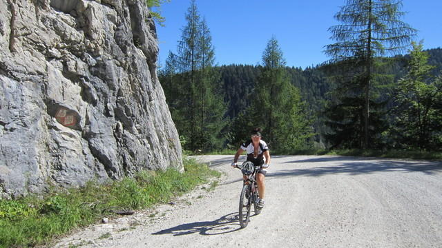 10_Auffahrt zur Viehbergalm