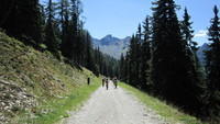 IMG 0338